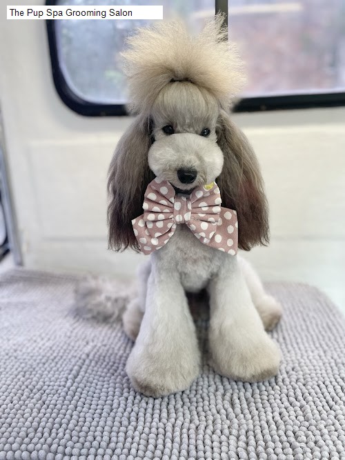 Mondays 2 Beauty Salon Open in Bonnet Bay, NSW: Ouch Waxing Studio,The Pup Spa Grooming Salon,